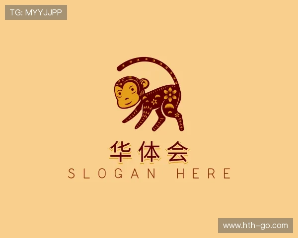 解读华体会公司